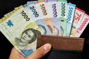 BSU 2025 Tertunda? Atasi Status Verifikasi, Cairkan Dana Anda!