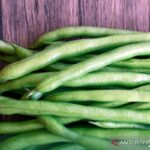 Protein Tinggi Tanpa Daging? Rahasia Kacang-kacangan Terungkap!