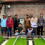 Revolusi Pertanian: IoT Telkom Panen Padi Kering Berkualitas Tinggi