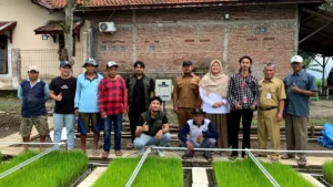 Revolusi Pertanian: IoT Telkom Panen Padi Kering Berkualitas Tinggi