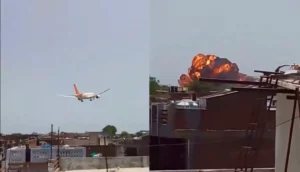 Tragedi Air India Ahmedabad: Bird Strike Penyebab Kecelakaan Maut?