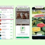 WhatsApp Status: Iklan Segera Hadir? Simak Perubahannya!